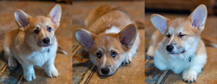 Vygrash iz Doma Na Holme