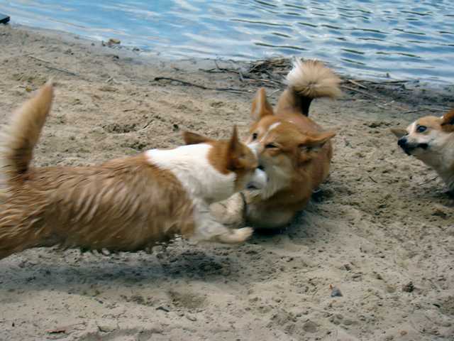 d_06_2010_04