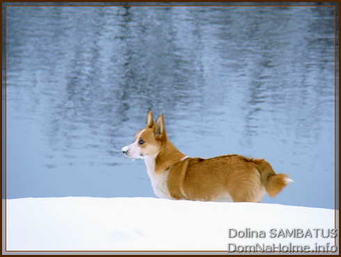 dolina05