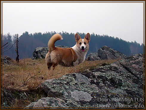 dolina06