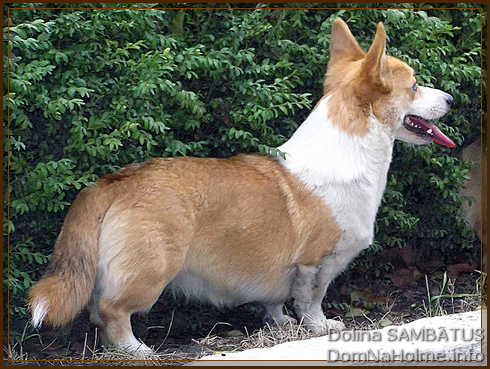 dolina27