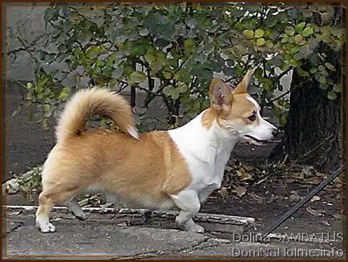 dolina32