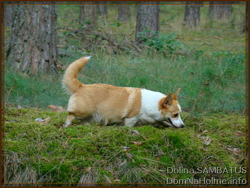 dolina42