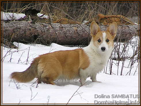 dolina46