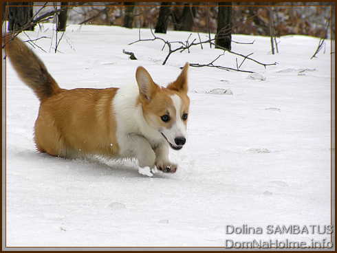 dolina47
