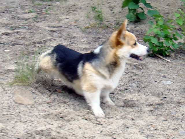 06_2010_01