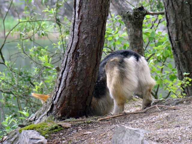 06_2010_05