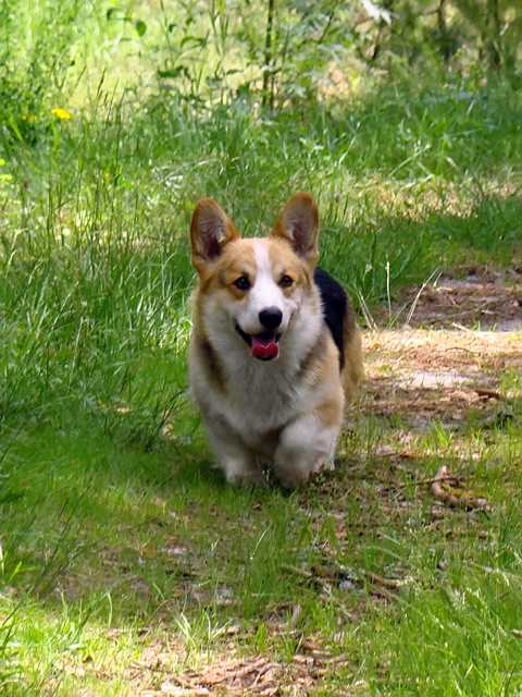 06_2010_09