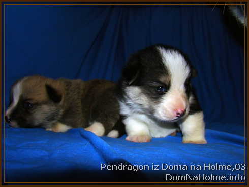 pendragon02
