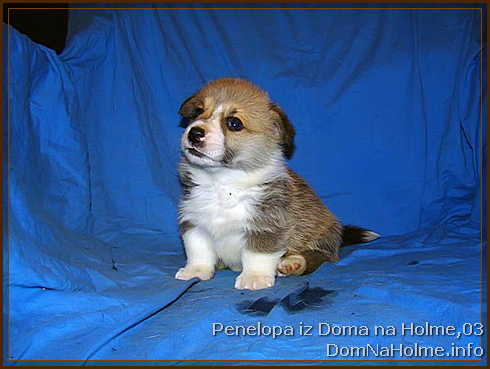 penelopa03