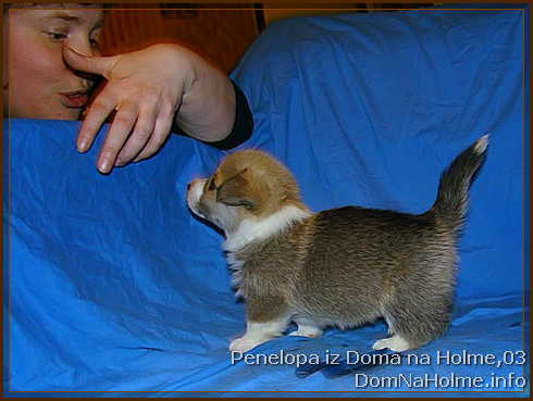 penelopa04
