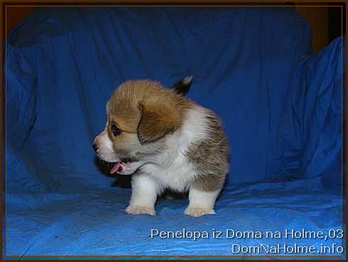 penelopa06