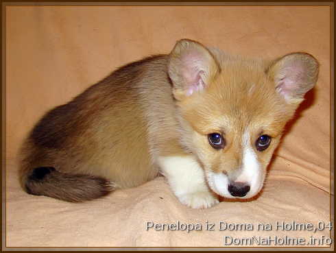 penelopa07