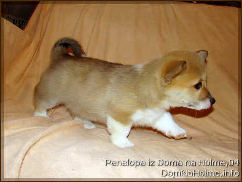 penelopa08