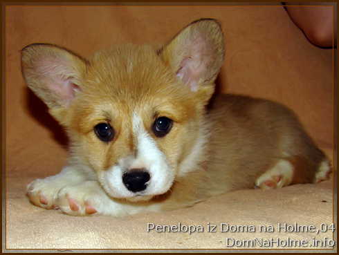 penelopa09