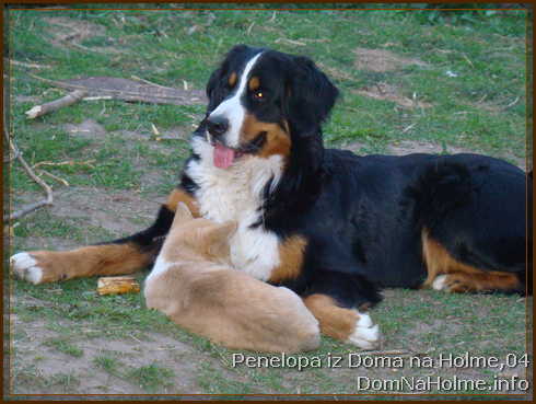 penelopa12