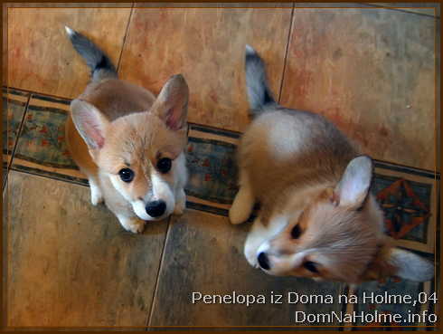 penelopa15