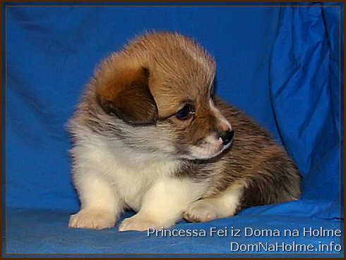 princess04
