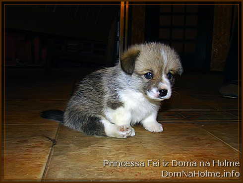 princess08