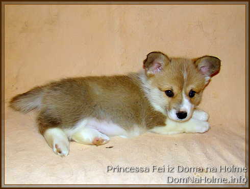 princess10
