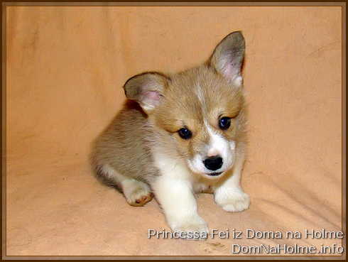 princess12