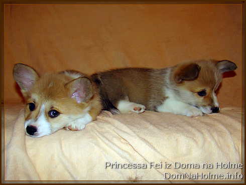 princess14