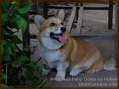 princess22