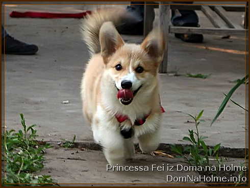 princess30