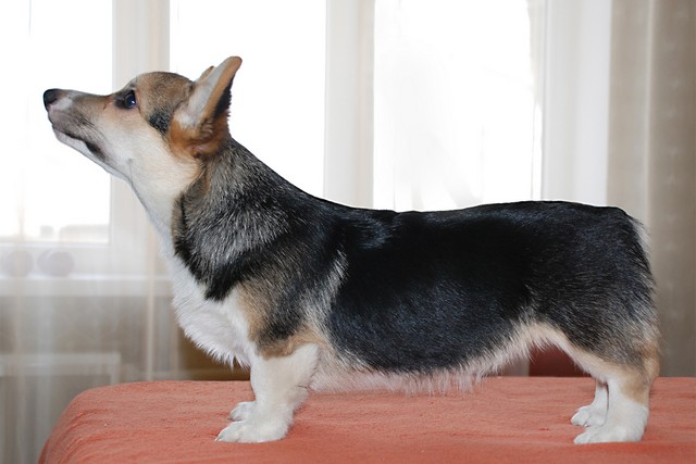 4mnola5