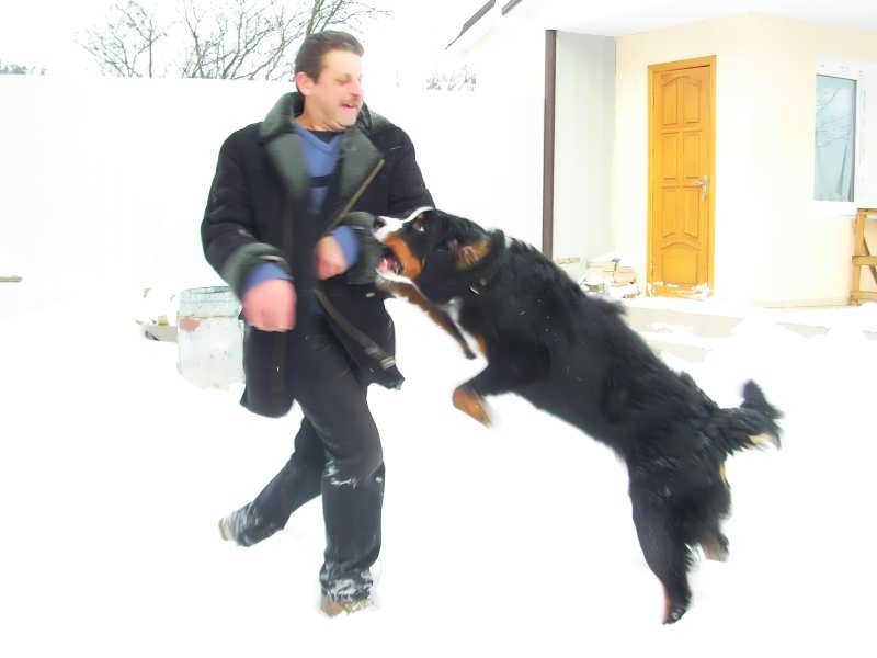 akela046