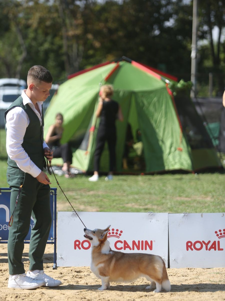 Canestrelli Rozalia Light Dream