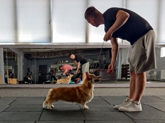 Canestrelli Rozalia Light Dream