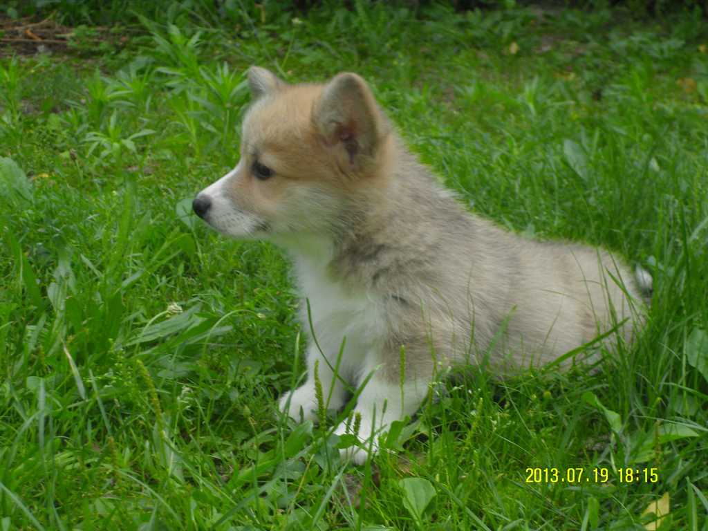 doris_01