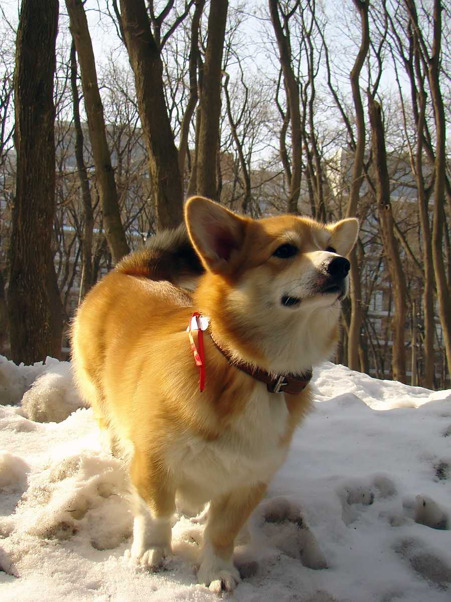 HoheyJack2402201304