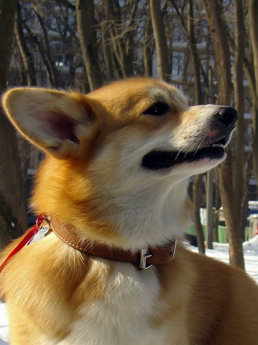 HoheyJack2402201309