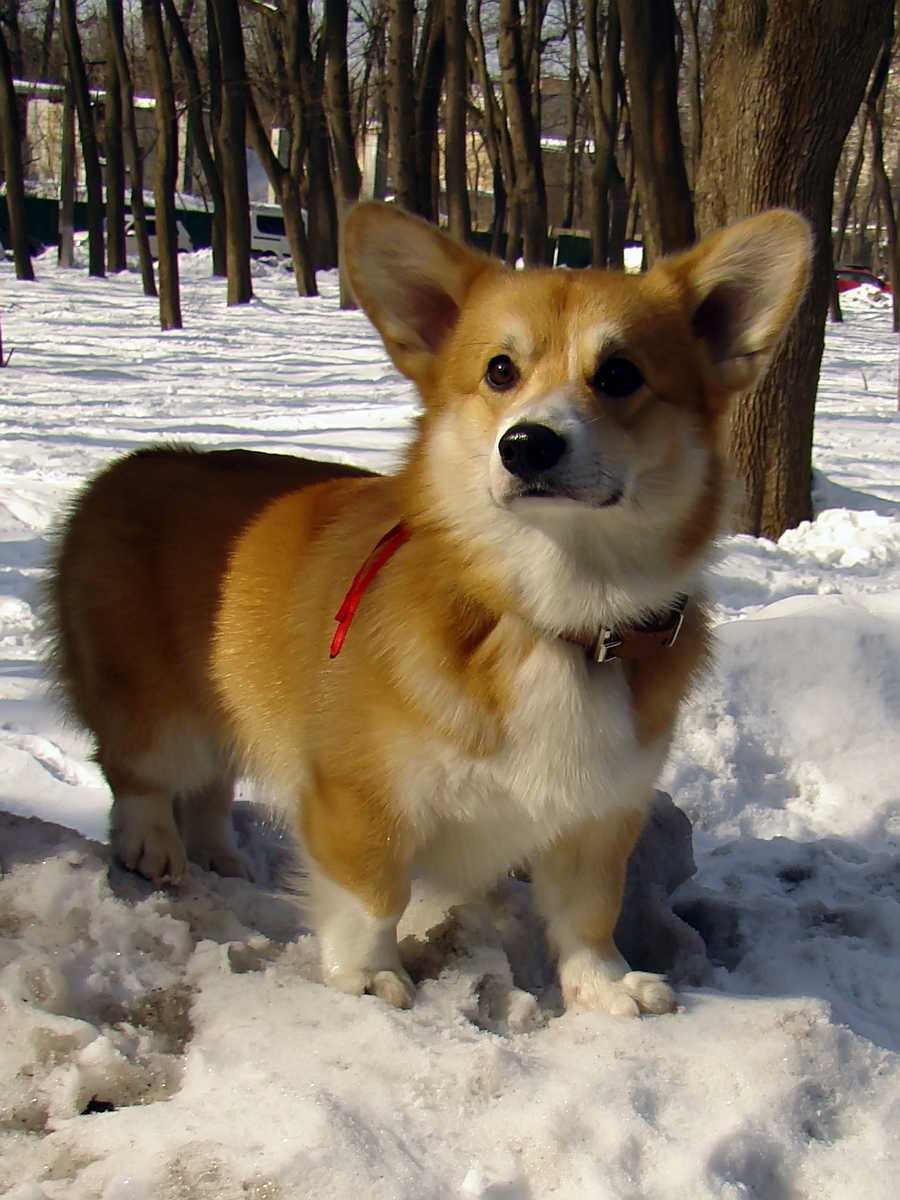 HoheyJack2402201318