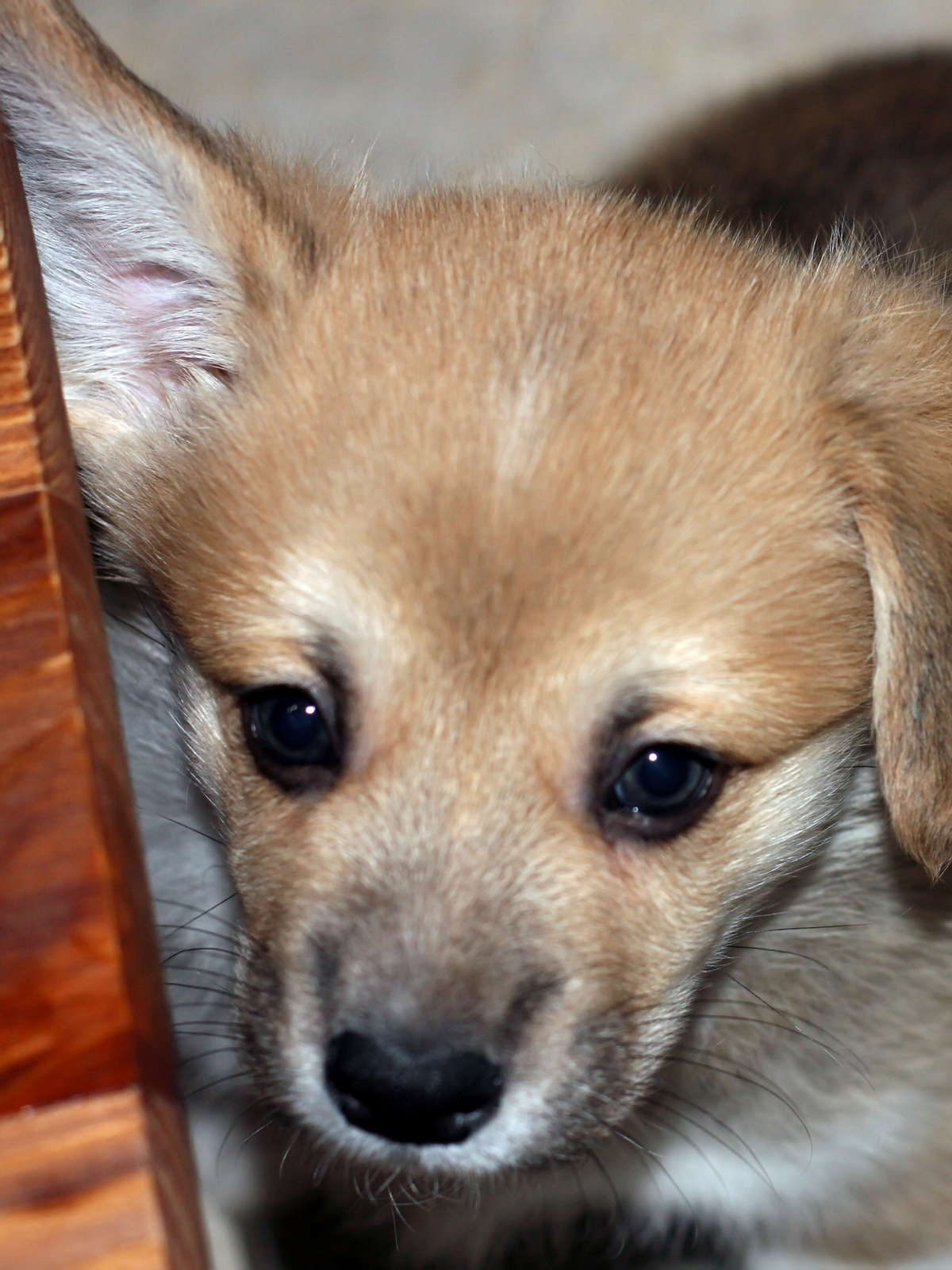 Edgar02