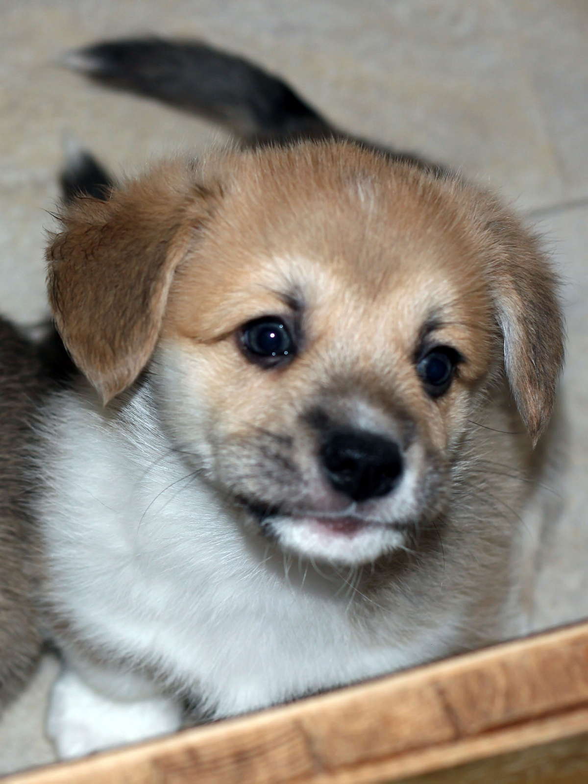 Edgar04