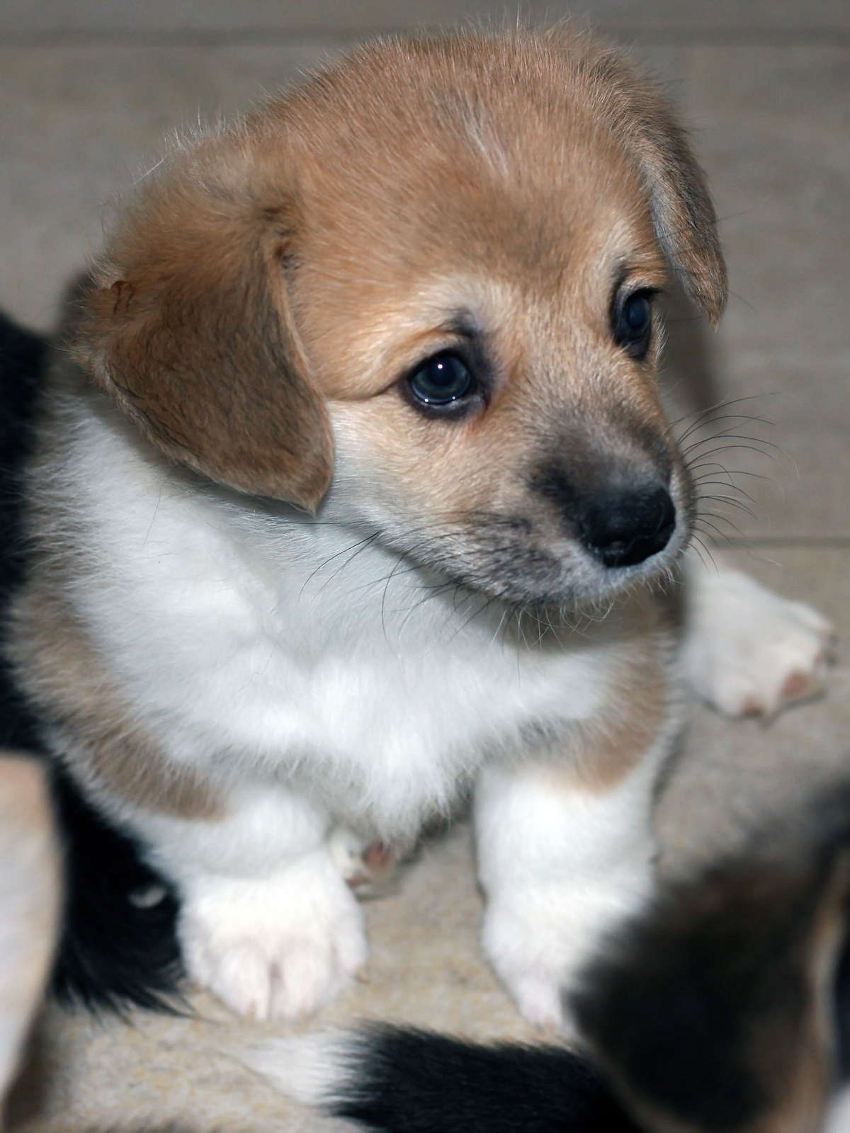 Edgar06