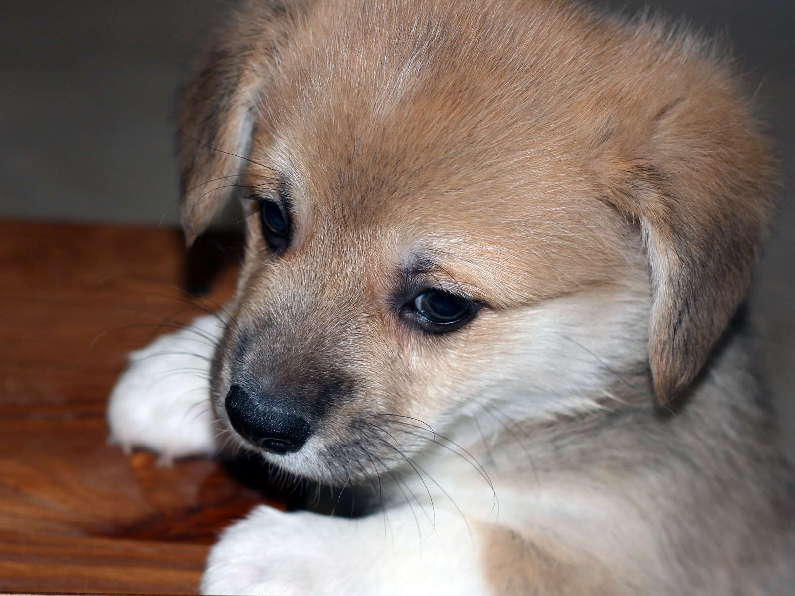 Edgar09