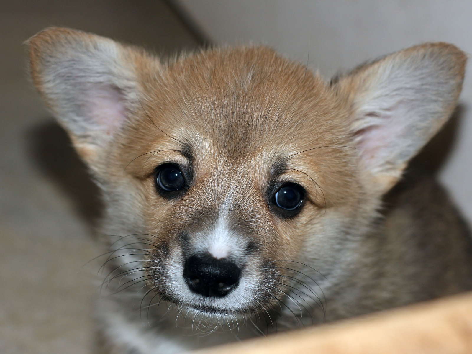 Ein04