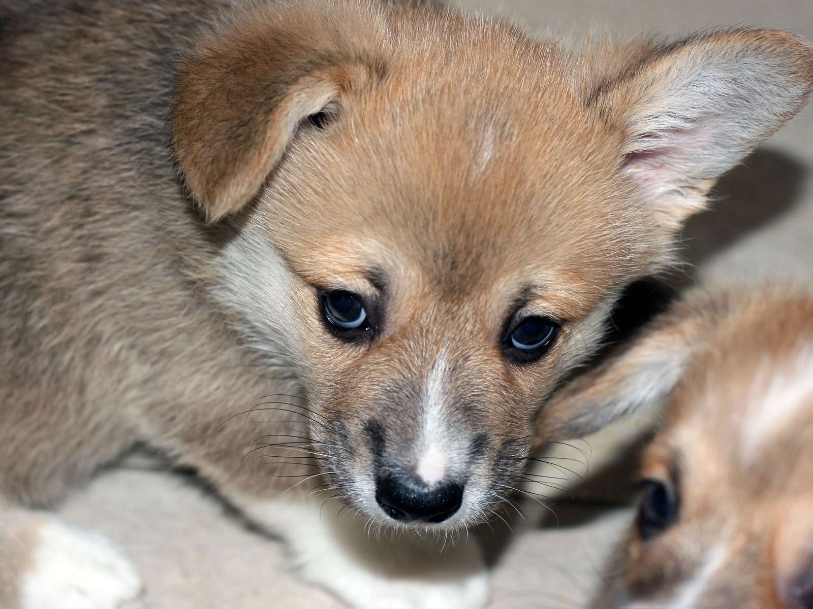 Ein05