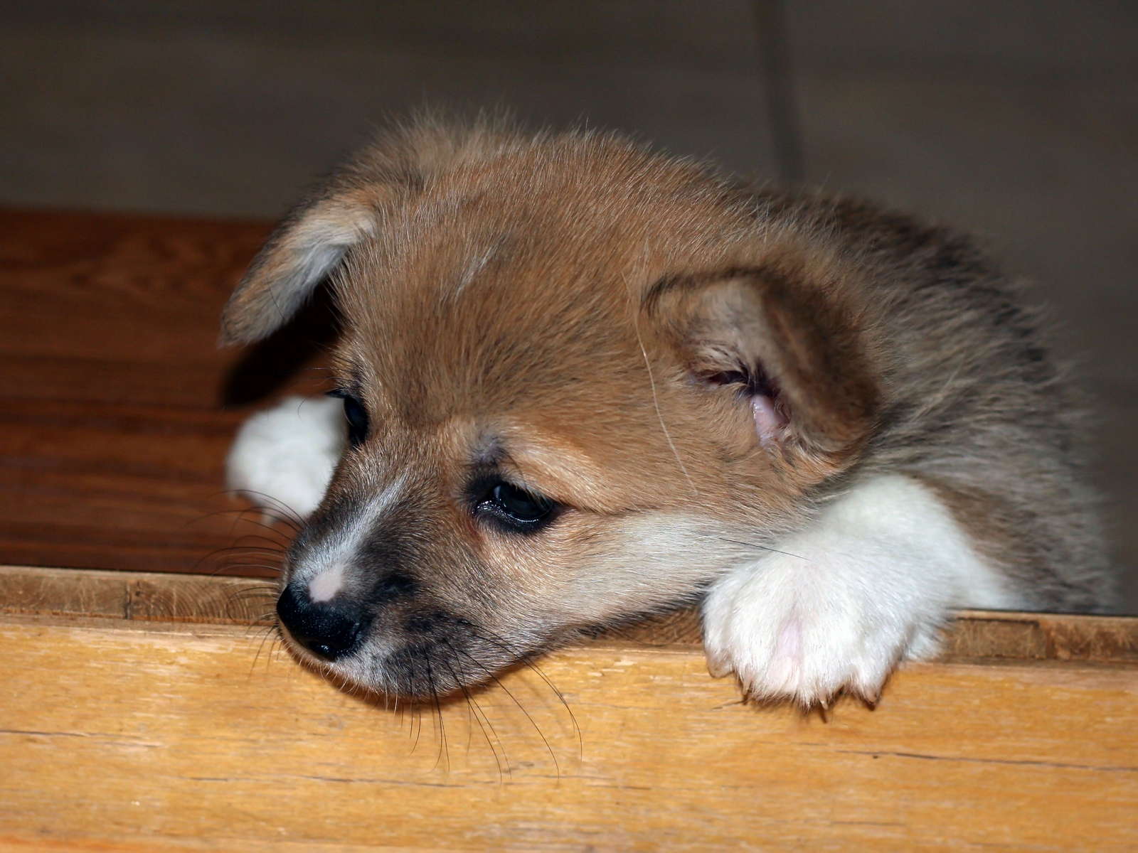 Ein06