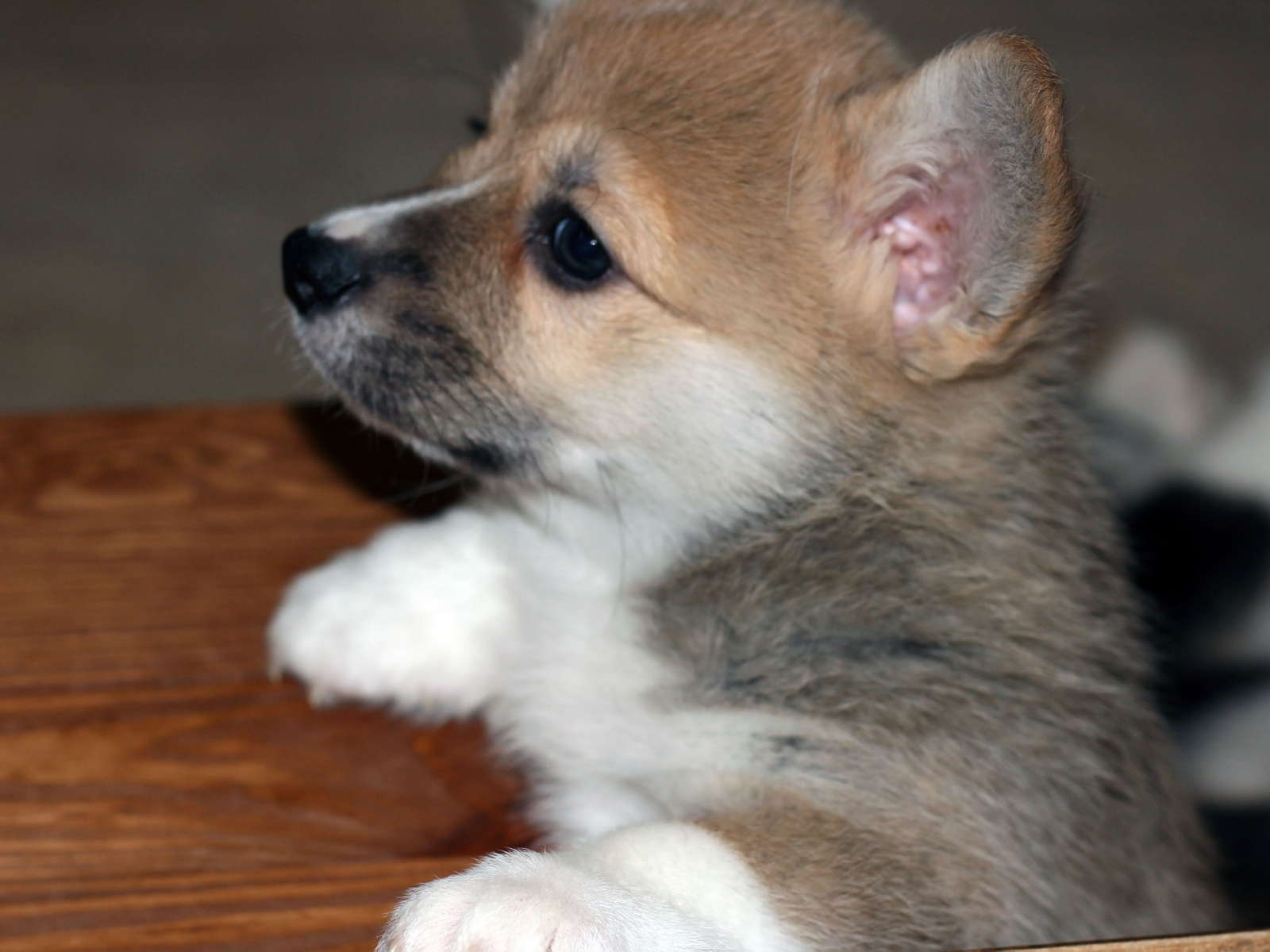 Ein07