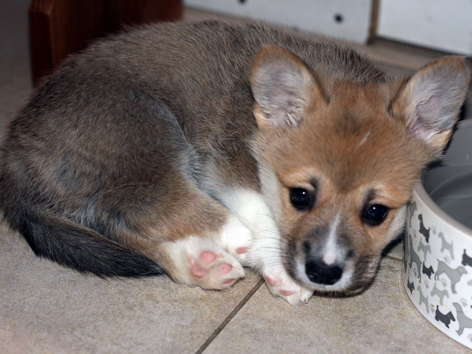 Ein10