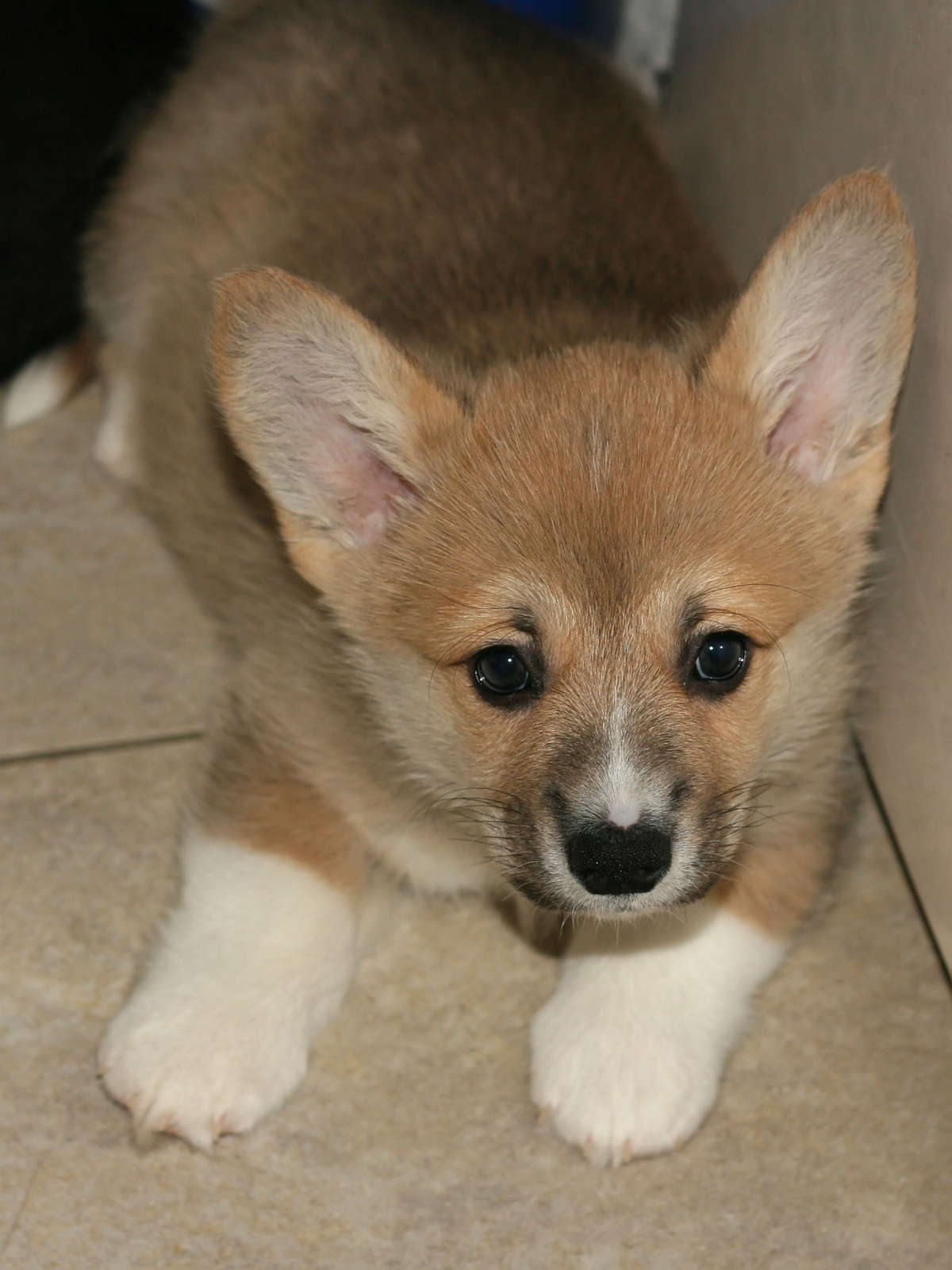 Ein13