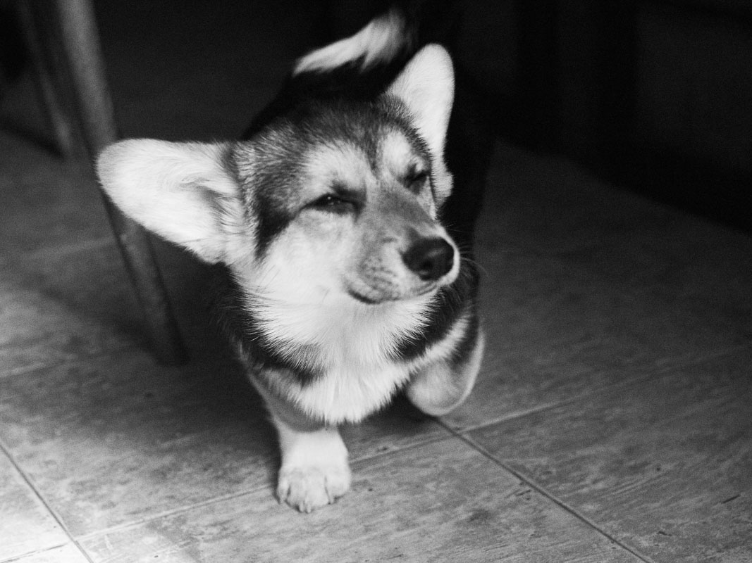 DSC_6747bw