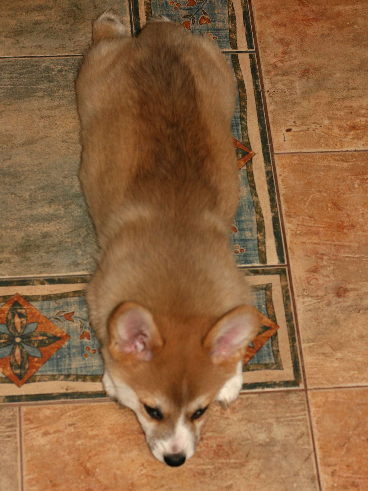 Finlay05