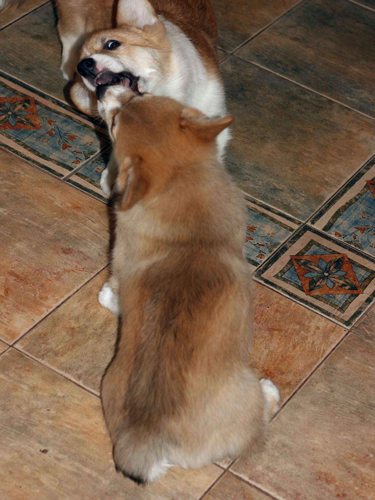 Finlay08