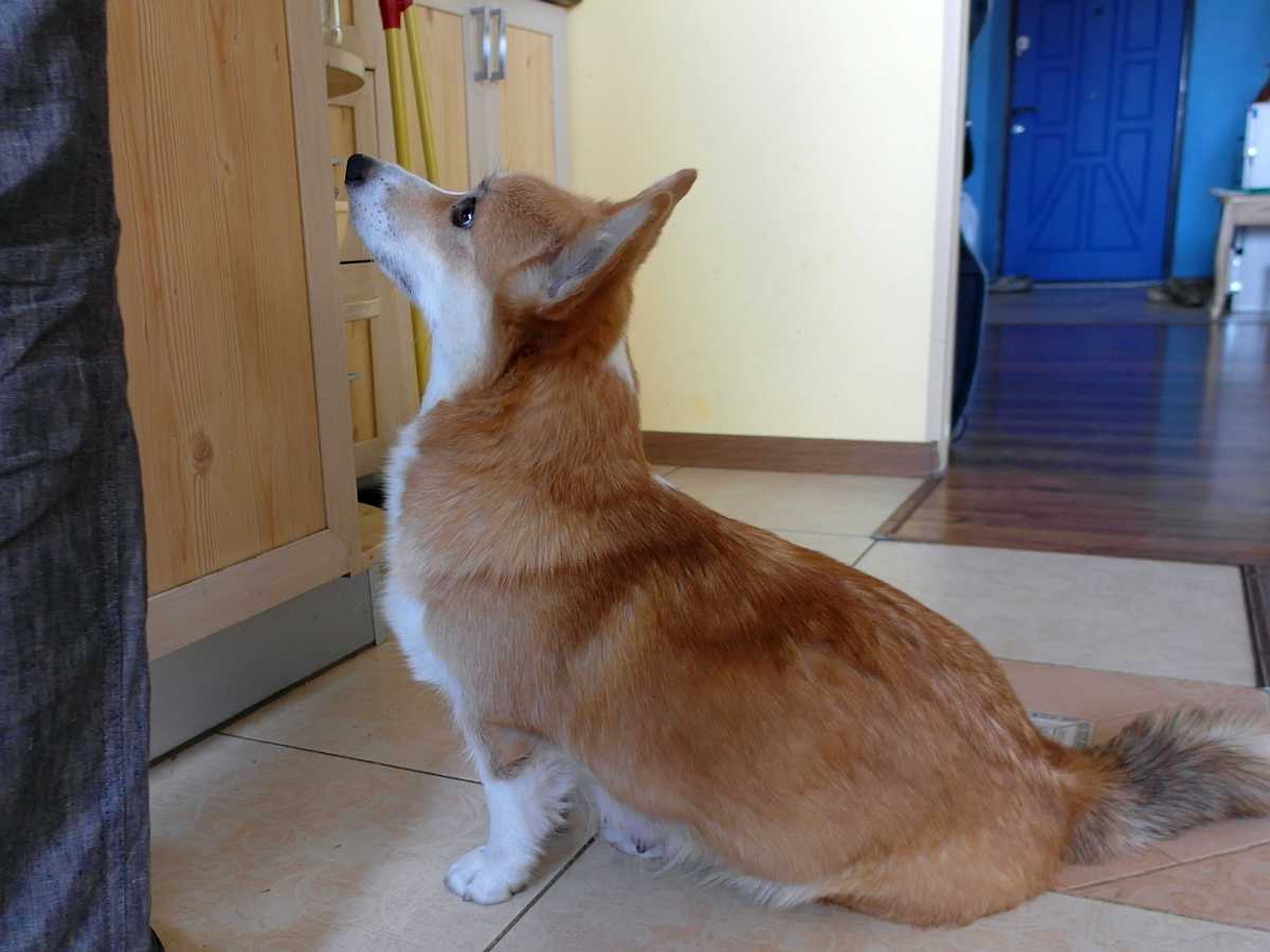 caramella_09